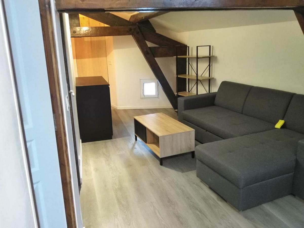 Detente - Appartement Et Poutres Apparentes Béziers Kültér fotó