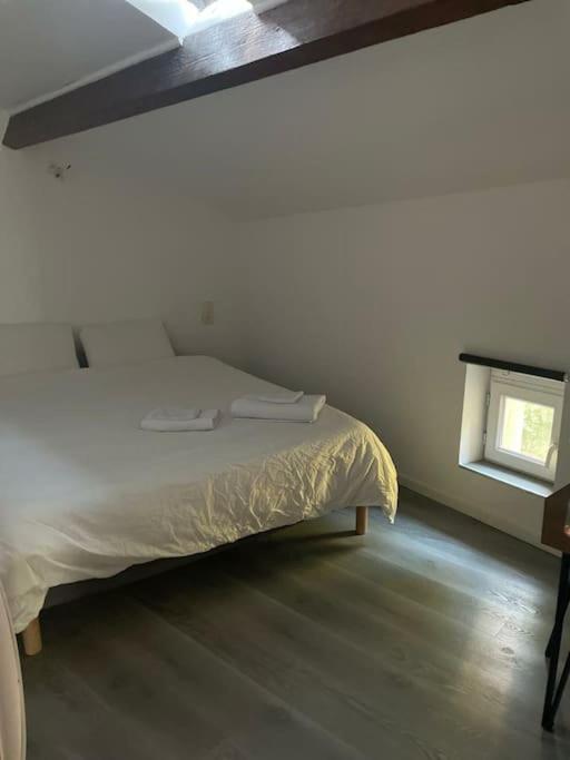 Detente - Appartement Et Poutres Apparentes Béziers Kültér fotó