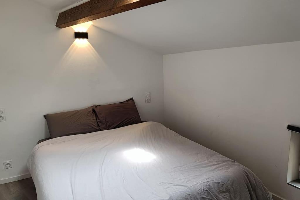 Detente - Appartement Et Poutres Apparentes Béziers Kültér fotó